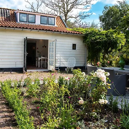 Kortvertoef *