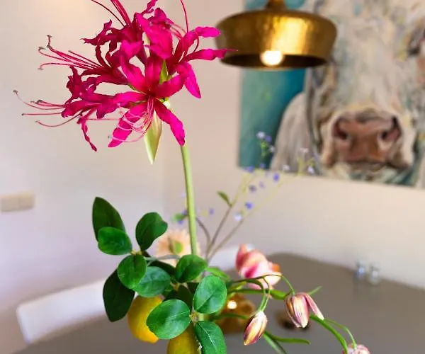 Дом отдыха Kortvertoef Kortenhoef